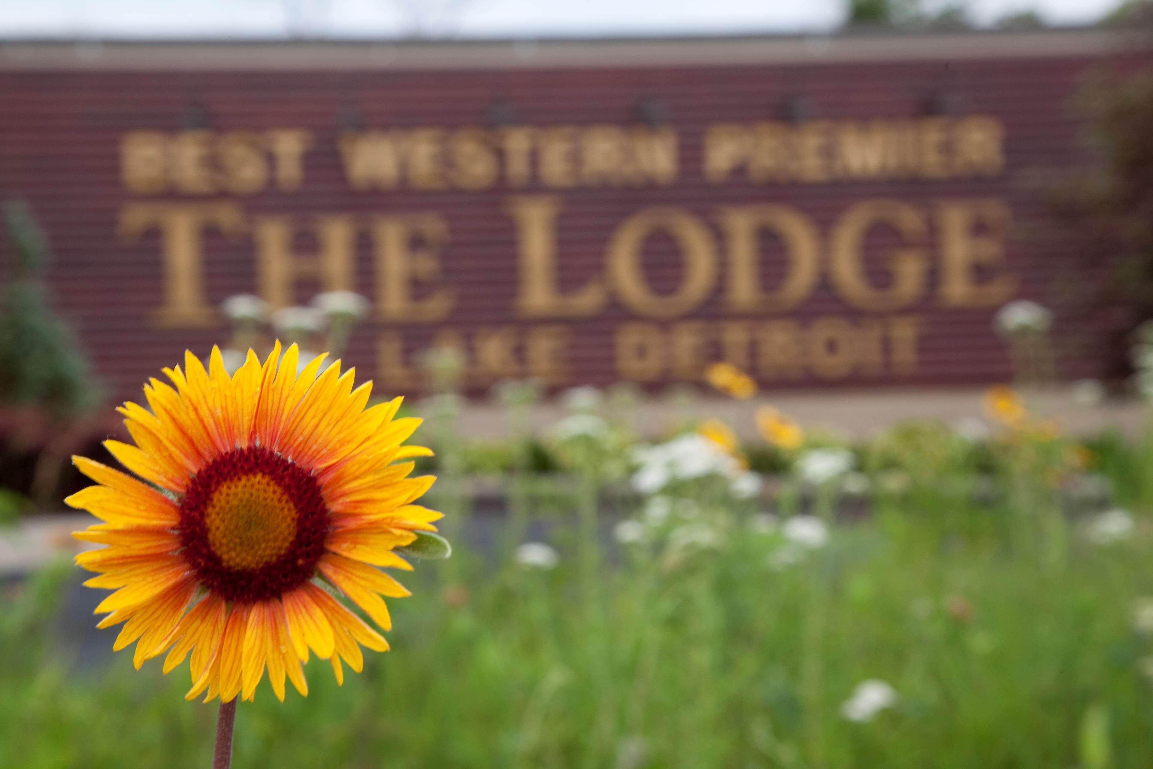 Best Western Premier The Lodge On Lake Detroit Детройт Лейкс Екстериор снимка